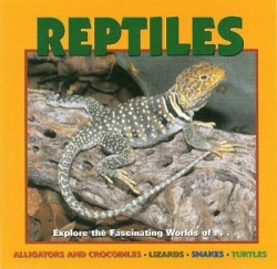 Reptiles - Alligators and Crocodiles, Lizards, Snakes and Turtles