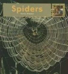 Spiders