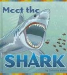 Meet the Shark
