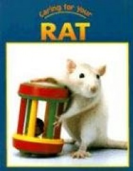 Caring for Your Rat