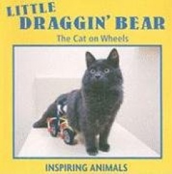 Little Draggin'Bear: The Cat on Wheels