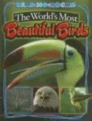 The World's Most Beautiful Birds