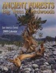 Ancient Forests: Big Trees&Redwoods Calendar: Save America's Forests