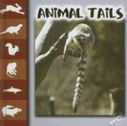 Animal Tails