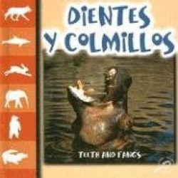 Dientes y Colmillos/Teeth and Fangs