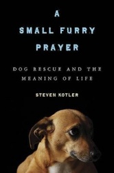 A Small Furry Prayer - Dog Rescue and the Meaning of Life