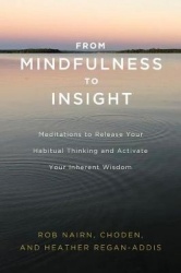 From Mindfulness to Insight