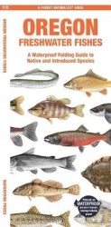 Oregon Freshwater Fishes - A Folding Pocket Guide to Native and Introduced Species