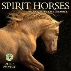Spirit Horses 2017 Wall Calendar: Photographs by Tony Stromberg