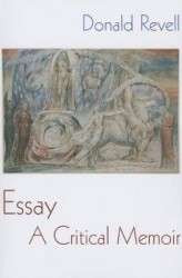 Essay