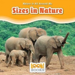 Sizes in Nature