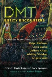 Dmt Entity Encounters