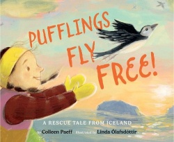 Pufflings Fly Free! - A Rescue Tale from Iceland