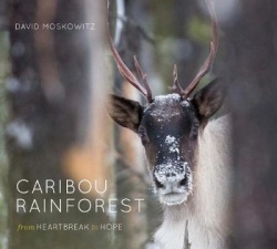 Caribou Rainforest - From Heartbreak to Hope
