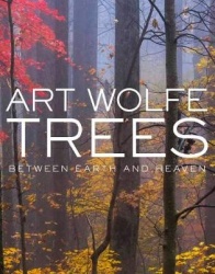 Trees - Between Heaven and Earth