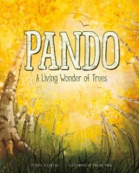 Pando