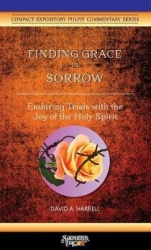 Finding Grace in Sorrow - Enduring Trials with the Joy of the Holy Spirit