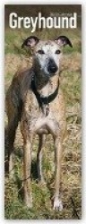 Greyhound Slim Calendar 2020