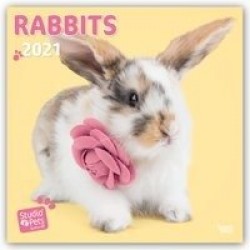 Rabbits Rule - Kaninchen 2021 - 18-Monatskalender