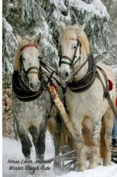 Horse Lover Journal Winter Sleigh Ride - Organizer Note Book for Horse Lovers