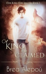 A King to be Claimed - Gay Harem