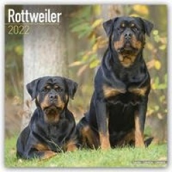 Rottweilers - Rottweiler 2022 - 18-Monatskalender mit freier DogDays-App