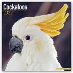 Cockatoos 2022 Wall Calendar