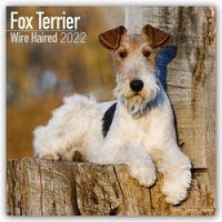 Fox Terriers - Foxterrier 2022 - 18-Monatskalender mit freier DogDays-App