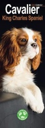 Cavalier King Charles Spaniels 2023