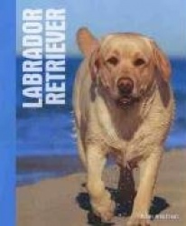 Labrador Retrievers