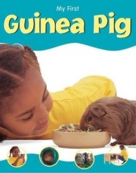 MY FIRST PET GUINEA PIG