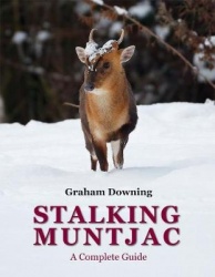 Stalking Muntjac - A Complete Guide