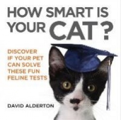 How Smart Is Your Cat? - Discover If Your Pet Can Solve These Fun Feline Tests