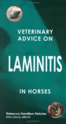 Veterinary Advice on Laminitis in Horses