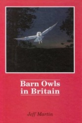 Barn Owls in Britain