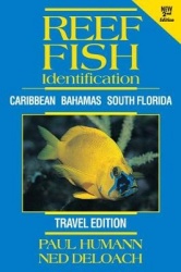 Reef Fish Identification -- Travel Edition - Caribbean Bahamas South Florida