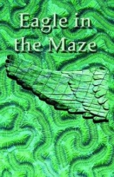 Eagle in the Maze