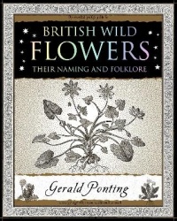 British Wild Flowers - Their Naming and Folklore