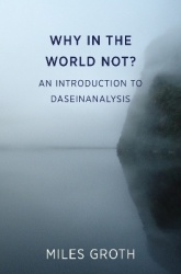 Why in the world not? - An Introduction to Daseinanalysis