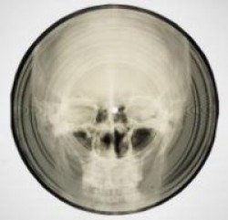 Coates, S., Bone Music