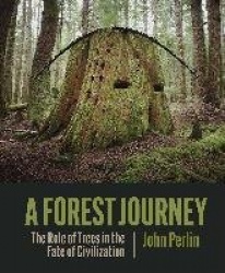 A Forest Journey