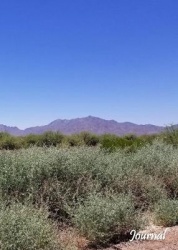Desert Sky Journal