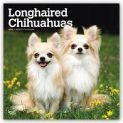 Longhaired Chihuahuas - Langhaar-Chihuahuas 2019 - 18-Monatskalender mit freier DogDays-App