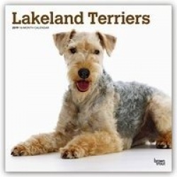 Lakeland Terriers 2019 - 18-Monatskalender mit freier DogDays-App