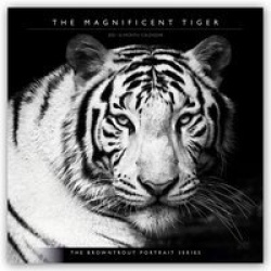 The Magnificent Tiger -Der prächtige Tiger 2021 - 16-Monatskalender
