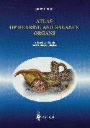Atlas of Hearing and Balance Organs : A Practical Guide for Otolaryngologists