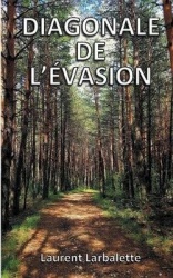 Diagonale de l'évasion (poche) - De Menton à Montmorillon à pied