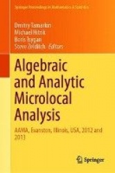 Algebraic and Analytic Microlocal Analysis : AAMA, Evanston, Illinois, USA, 2012 and 2013