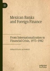 Mexican Banks and Foreign Finance - From Internationalization to Financial Crisis, 1973–1982