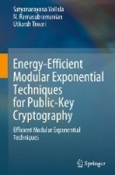 Energy-Efficient Modular Exponential Techniques for Public-Key Cryptography - Efficient Modular Exponential Techniques